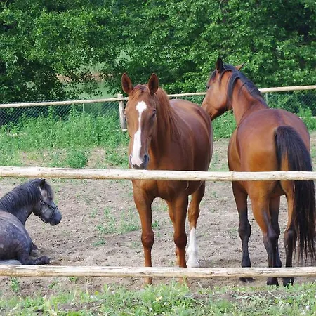 Gosciniec Bed and breakfast